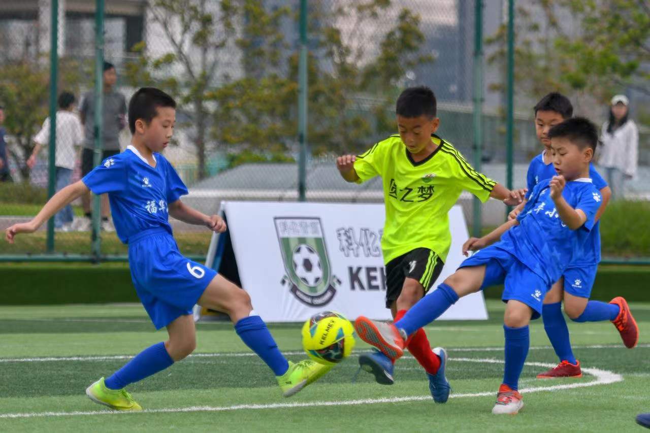 普利希奇的 普利希奇的