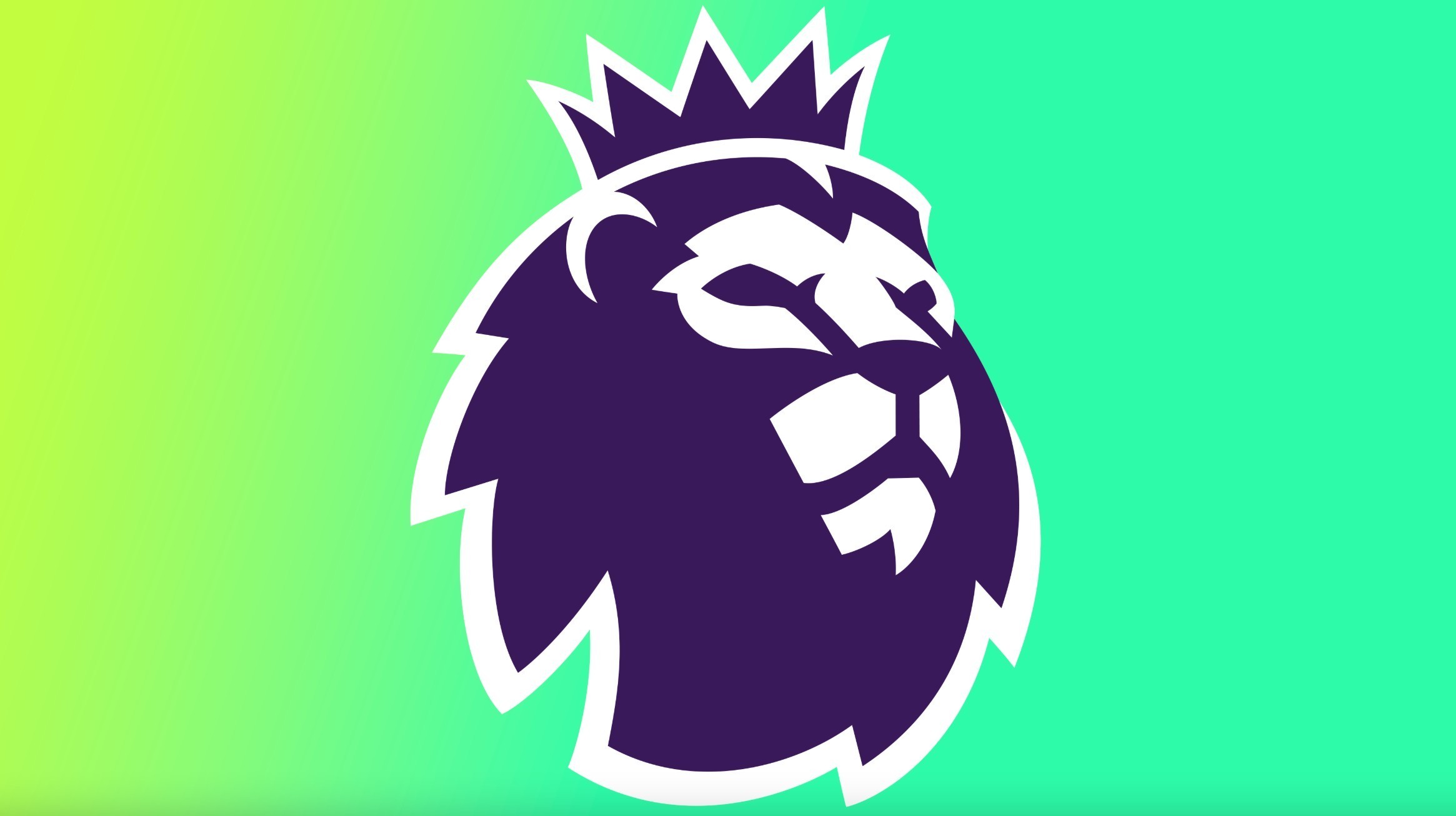 们最珍贵的 们最珍贵的