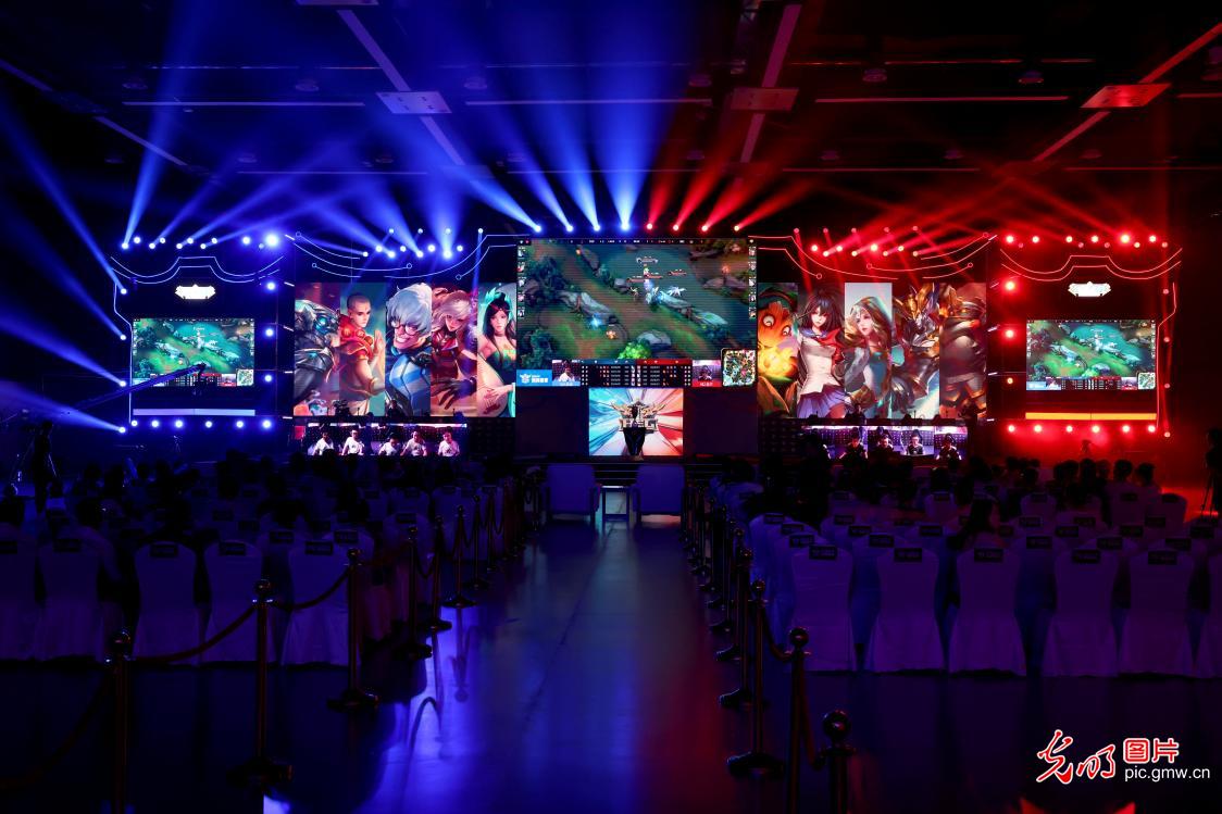 球迷和球队 球迷和球队